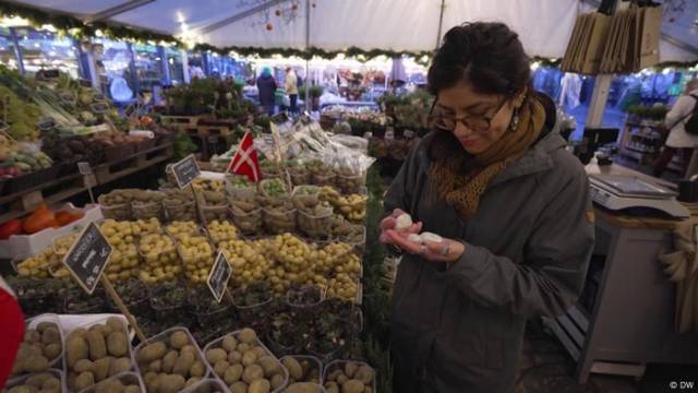 Mit Wissenschaft den Schatz alter Kartoffelsorten bewahren