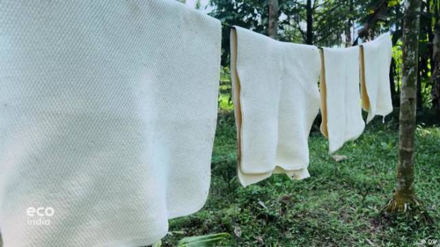 Kerala und die ungewisse Zukunft des Kautschuks