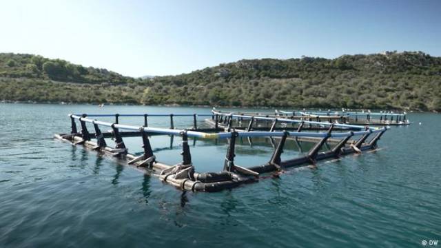 Geister-Fischfarmen bedrohen Meere vor Griechenlands Küsten