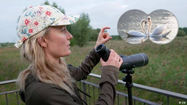 Birdwatching boomt: So profitieren Vögel davon