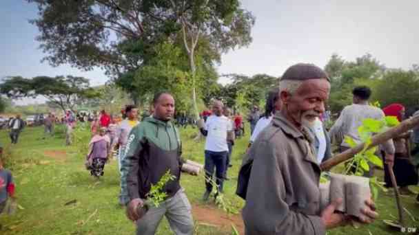 Äthiopiens grüne Mission: Milliarden Bäume für die Zukunft kostenlos streamen | dailyme