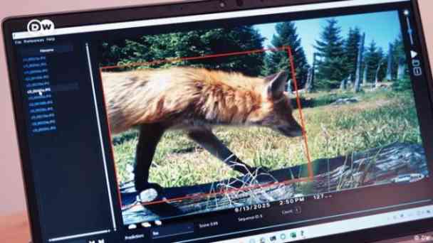 Wie künstliche Intelligenz Deutschlands Wildtiere schützt kostenlos streamen | dailyme