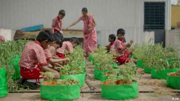 Urbanes Grün: Wenn Bürger ihre Stadt neu erfinden kostenlos streamen | dailyme