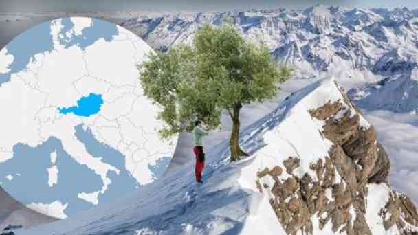Österreichische Bauern experimentieren mit Olivenanbau in den Alpen kostenlos streamen | dailyme