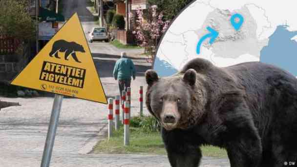 Leben mit Bären: Wie eine rumänische Stadt sich schützt kostenlos streamen | dailyme