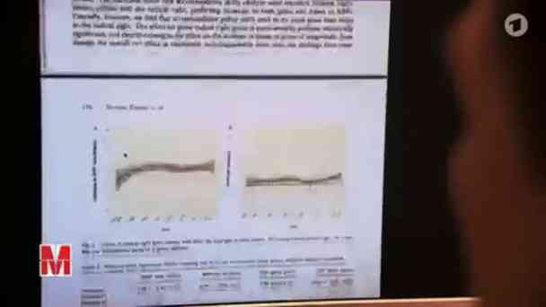 Monitor vom 19.09.2024 kostenlos streamen | dailyme