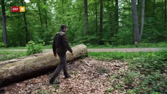Wildhüter in der Stadt – Jagd und Tierschutz im Wohnquartier