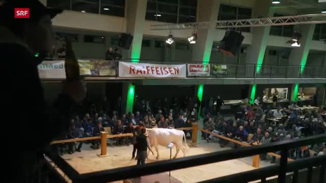 Landwirtschaft trotz allem – Zwischen Verlust und Umbruch (Teil 2)