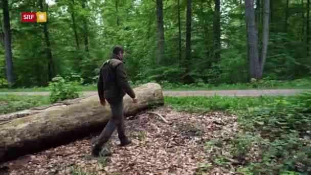Wildhüter in der Stadt – Jagd und Tierschutz im Wohnquartier kostenlos streamen | dailyme