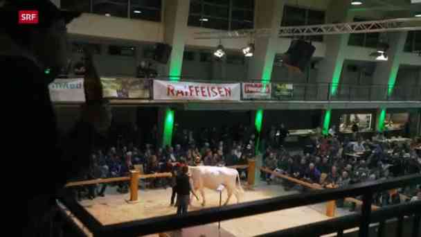 Landwirtschaft trotz allem – Zwischen Verlust und Umbruch (Teil 2) kostenlos streamen | dailyme