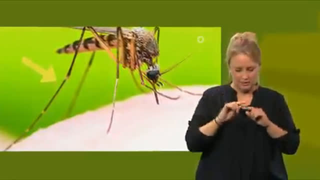Schwer nicht schwer