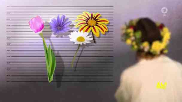 Auf der grünen Wiese kostenlos streamen | dailyme