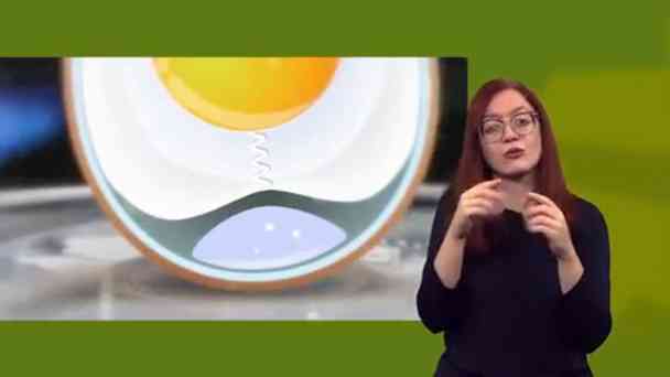 Essen auf Rädern kostenlos streamen | dailyme