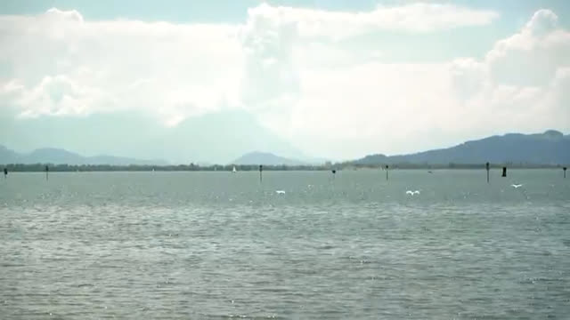 Die Sterbehilfe-Organisation Pegasos in der Kritik.