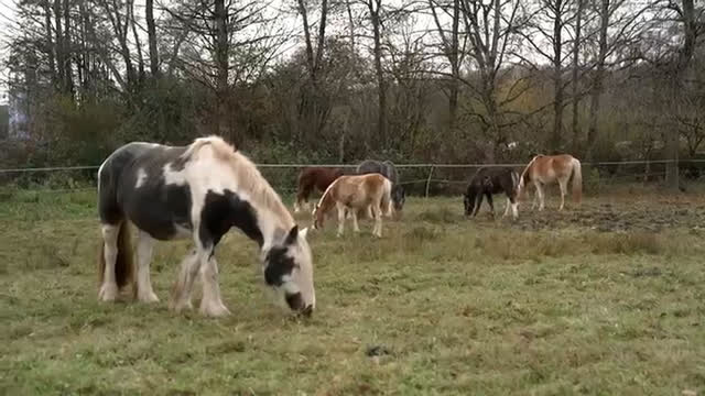 Kokain-Schwemme – Kampf gegen die Drogenmafia