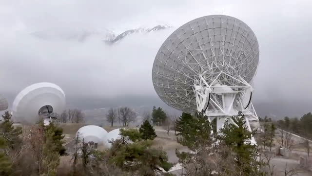 Bau-Debakel im Zoo – Streit um neue Voliere eskaliert