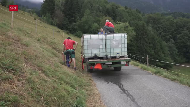 Bauern am Limit: So trifft sie die Hitzewelle