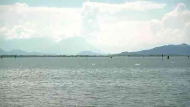 Die Sterbehilfe-Organisation Pegasos in der Kritik. kostenlos streamen | dailyme