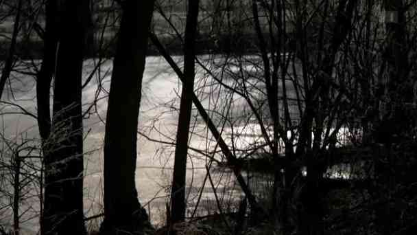 Drohnenabwehr: Schweizer Tech-Firmen buhlen um Armee-Aufträge kostenlos streamen | dailyme