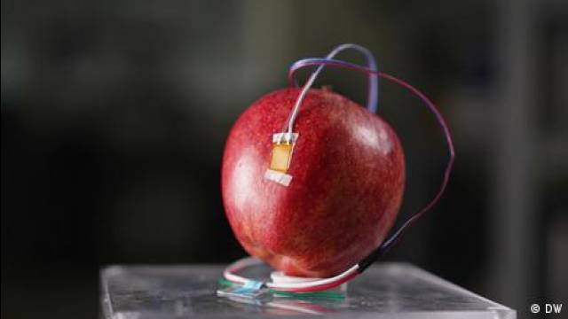 Can smart sensors help cut global food waste?