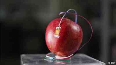 Can smart sensors help cut global food waste? kostenlos streamen | dailyme