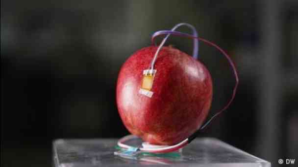 Can smart sensors help cut global food waste? kostenlos streamen | dailyme