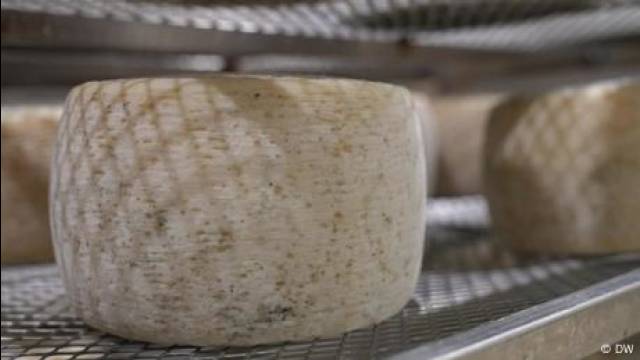 Trump tariffs threaten Italy's pecorino cheese