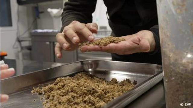 Eat Beer: Vegan meat from brewery waste