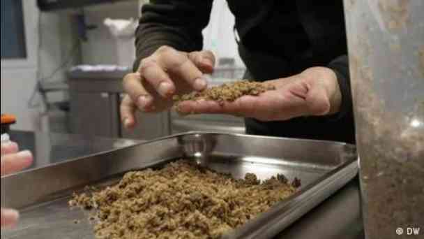 Eat Beer: Vegan meat from brewery waste kostenlos streamen | dailyme