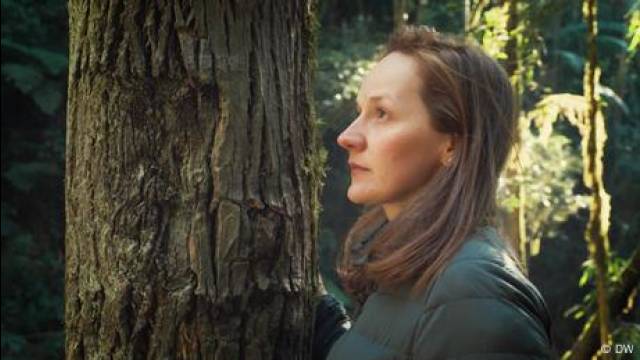 Brazil: Planting trees to protect the rainforest