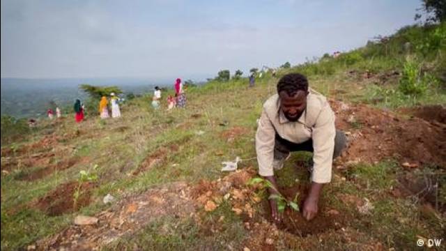 Ethiopia's green mission: Billions of trees for the future