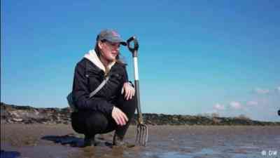 Can this algae make animal testing obsolete? kostenlos streamen | dailyme