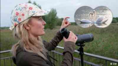 For Gen Z, bird-watching is booming kostenlos streamen | dailyme