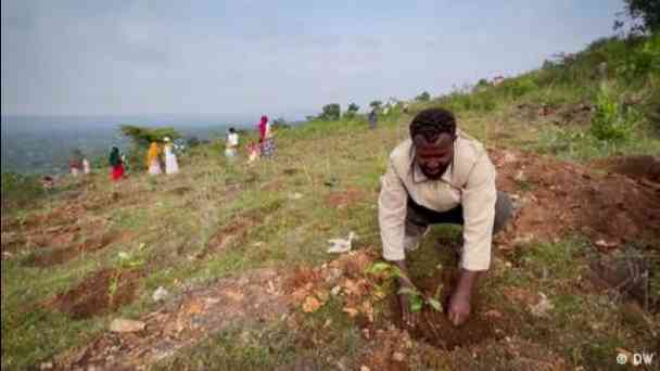 Ethiopia's green mission: Billions of trees for the future kostenlos streamen | dailyme