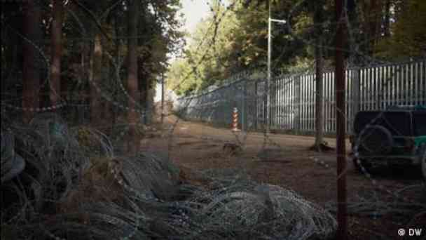 Poland's EU border: A threat to nature and people kostenlos streamen | dailyme