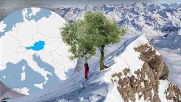 The Austrian experiment that could change olive oil forever kostenlos streamen | dailyme