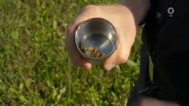 Sachgeschichte: Artenschutzhund Whisper