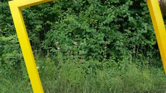 Ein Quadratmeter Natur – Landschaftspark Nord