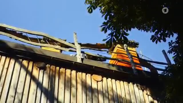 Mein Zuhause ist anders – Jolandas Baumhaus