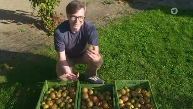 Apfelsaft pressen