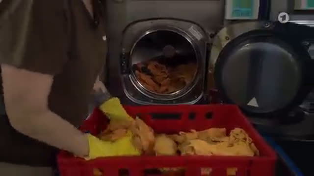 JVA – Welche Berufe gibt es im Gefängnis?