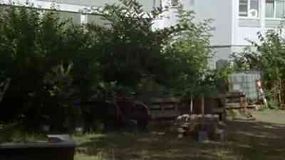 So funktioniert Urban Gardening kostenlos streamen | dailyme