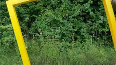 Ein Quadratmeter Natur – Landschaftspark Nord kostenlos streamen | dailyme