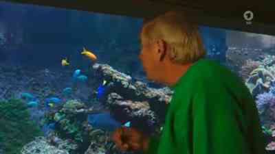 Können Fische hören? kostenlos streamen | dailyme