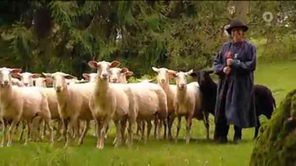 Sachgeschichte: Warum gibt es immer nur ein schwarzes Schaf? kostenlos streamen | dailyme