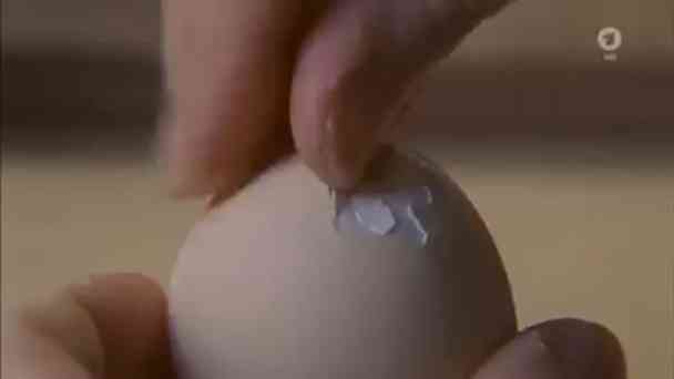 Ein Küken kommt aus dem Ei kostenlos streamen | dailyme