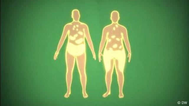 Why we need body fat!