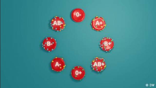 Blood: How our “liquid organ” runs the body