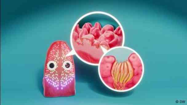 The tongue - what’s it doing in your mouth? kostenlos streamen | dailyme