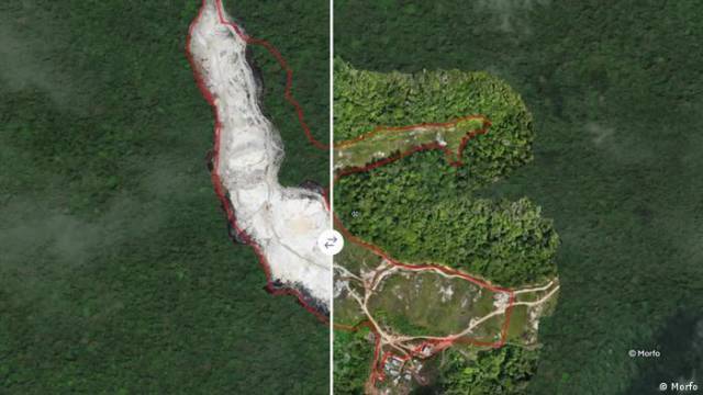 Bäume pflanzen mit Künstlicher Intelligenz